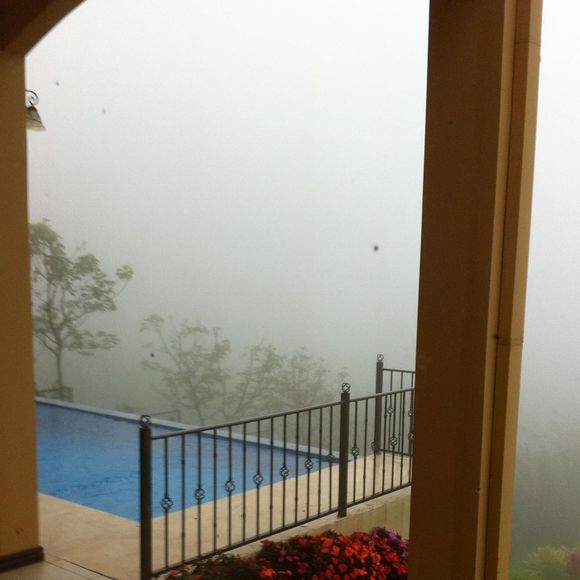 Meet your Posher, Darlene - Picture 1 of 1